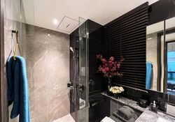 Queens Peak (D3), Condominium #496891981